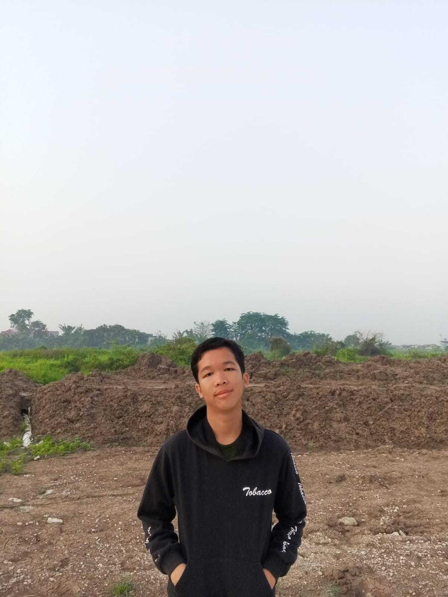 Developer 1